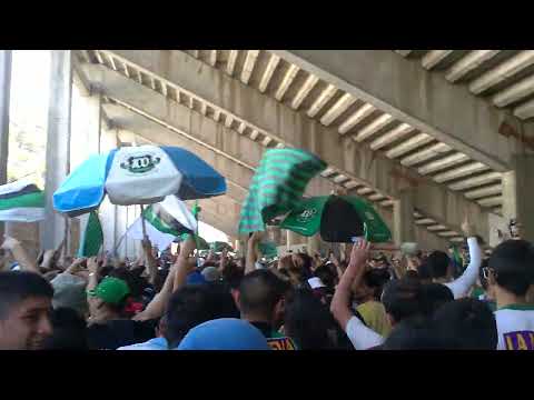 "VENGO DEL BARRIO MATADEROS / NUEVA CHICAGO / REPÚBLICA DE MATADEROS" Barra: Los Pibes de Chicago &bull; Club: Nueva Chicago &bull; País: Argentina