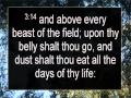 Bible OT ASV Book Of Genesis Chapter 3 Audiobook