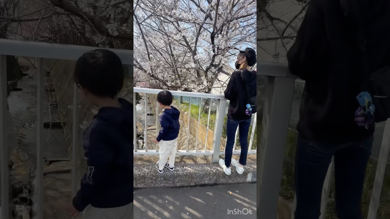 〖19歳姉 5歳弟〗🌸お花見散歩