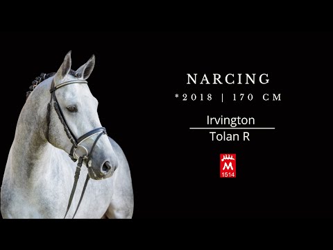 Narcing *2018 v. Irvington VDL - Tolan R