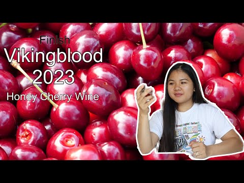 Viking Blood 2023 Part 2 - How to make Mead - Cherry Honey Wine