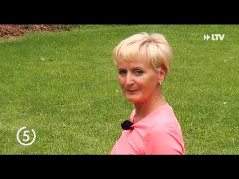 Meine 5 Minuten August 2016 - 31.08.2016