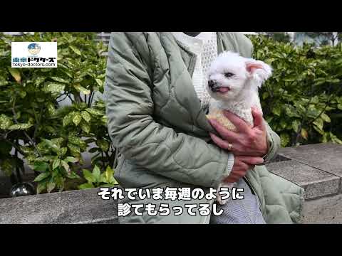 飼い主女性の声