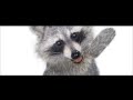 Best Of The Raccoon Dick Figures German HD