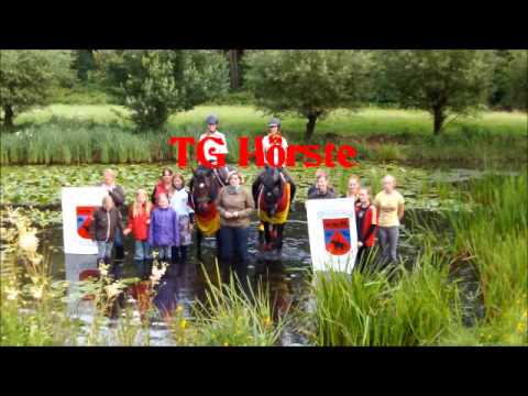 Cold Water Challenge 2014 des RFV Halle (Westf.)