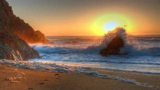 Kamil Polner - Soul Cure (Original Mix)