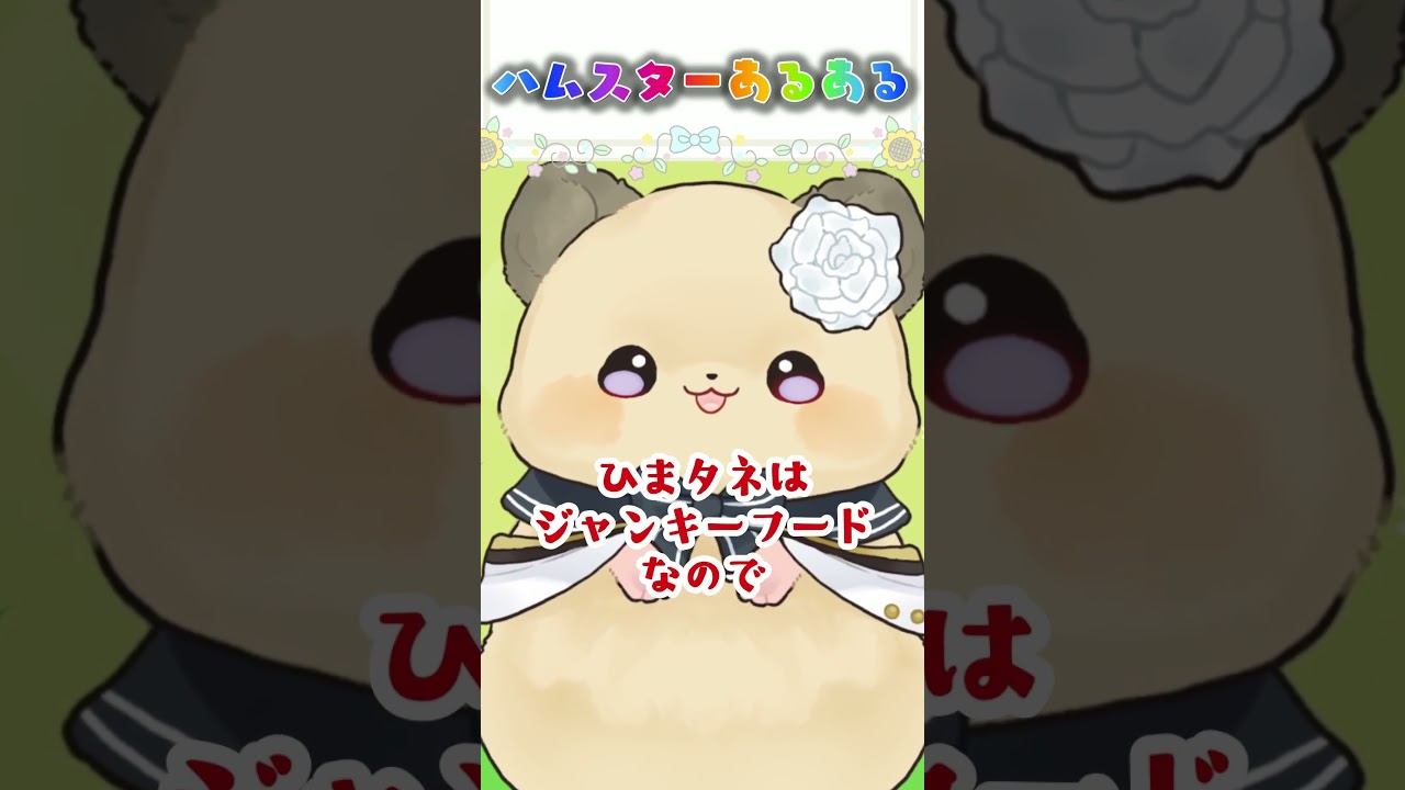 ハムスターあるある!脱走の名人なのです！ #ハム小話 #ハムスターVTuber #癒しショート #毎日投稿 #shorts