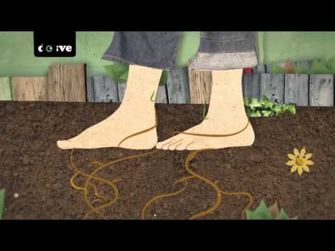 Maria Elena Walsh - Musica para Imaginar - Cancion del jardinero