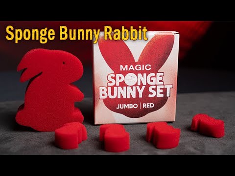 Voir la vidéo Sponge Bunny Rabbit Set Red