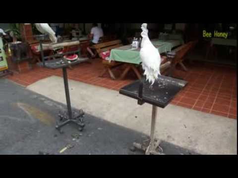 100 секунд_2-Полет Flight