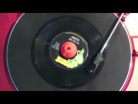 The Zombies - She's Not There (MONO MIX) - Vinyl 45 rpm - 1964