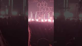 OLP we are all innocent