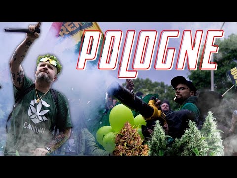 MOPS x PETE - POLOGNE #elo420 #wolnekonopie #nomoney