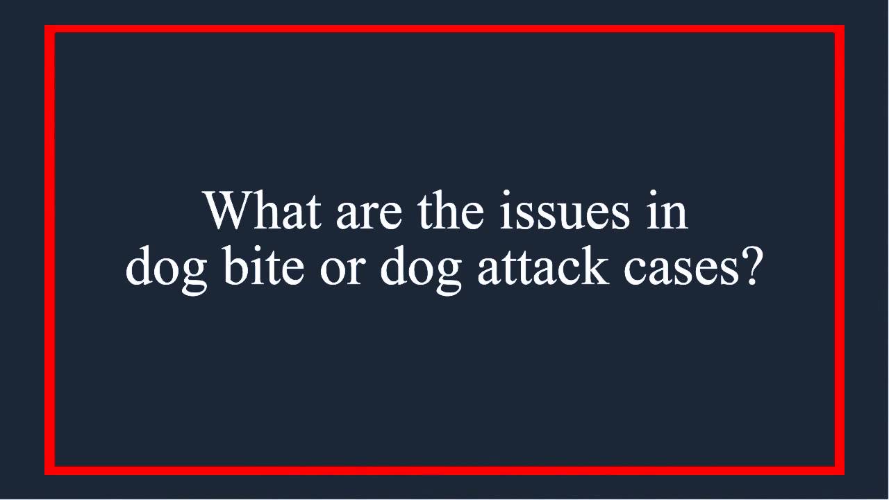 PA & NJ Dog Bite Laws - Issues In Dog Bite/Attack Cases