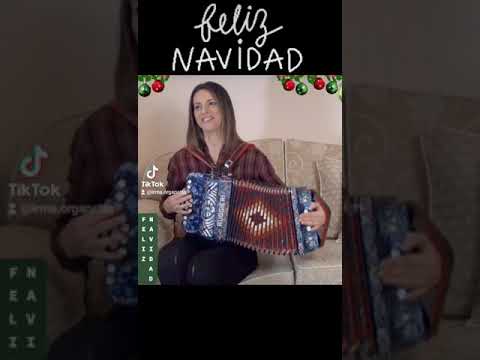 TikTok FELIZ NAVIDAD (Canzone di Natale) IRMA DI BENEDETTO - Organetto Abruzzese Accordion
