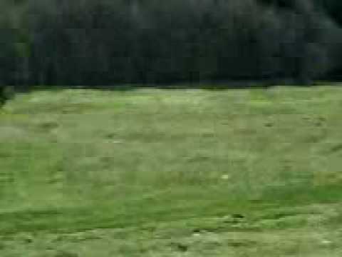 Cheia -Valea Stanii-Cimitirul eroilor  atv trip