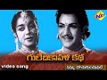 Nannu Dochu Kunduvatey Video Song Gulebakavali Katha Telugu Movie Songs NTR Jamuna TVNXT Music