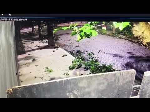 VIDEO. Inescrupulosos instalaron bombas de humo azul para activarlas en el Estadio de 57 y 1