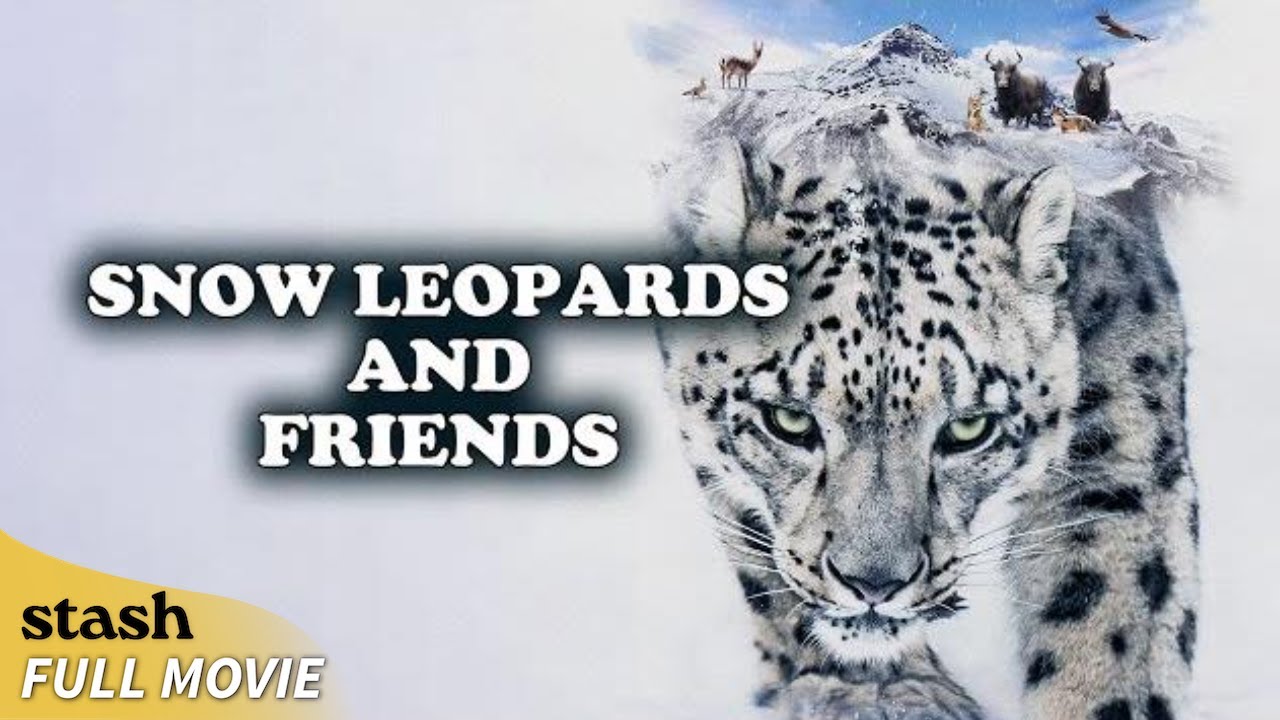 Snow Leopards and Friends | Wildlife Documentary | Full Movie | Endangered Species