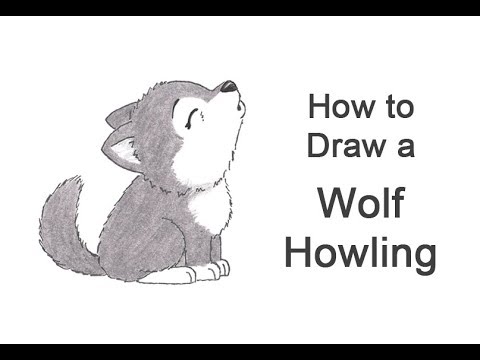How to Draw a Wolf Howling (Cartoon)