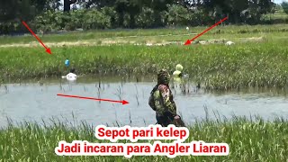 Download lagu Flooded rice fields are a storehouse of fish, just use moss as bait to harvest fish. mp3