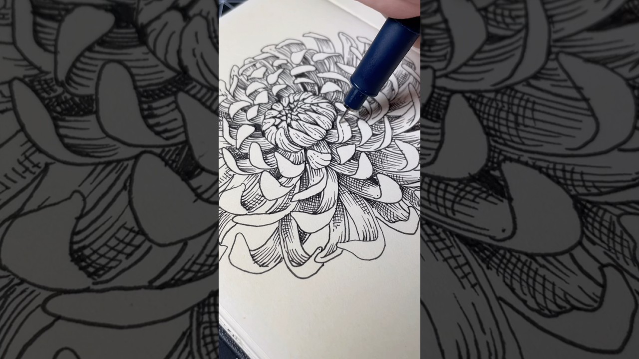 Simple chrysanthemum drawing tutorial #inspiredbynature #drawing #shorts #linedrawing