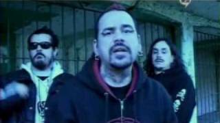 A.N.I.M.A.L. - Sin Ley