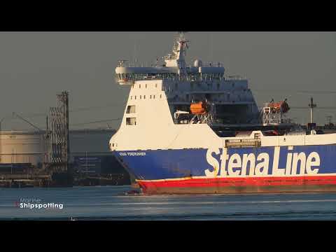 STENA Forerunner - IMO 9227259 - Hook of Holland Ship Spotting  [4K]