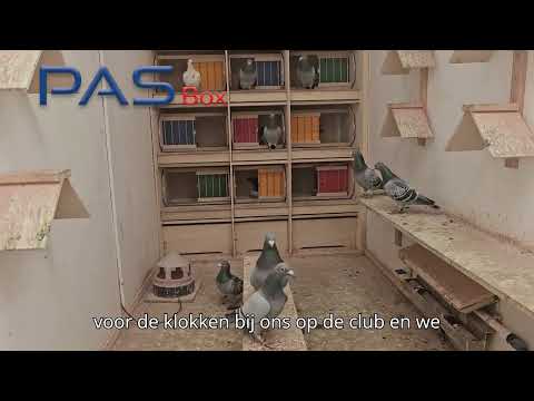 Bricon PAS op het hok