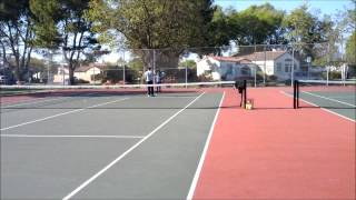 preview picture of video 'Srinesh's first tennis lesson with Dan at Harvey Community Park, Union City - 20 Apr 2013'