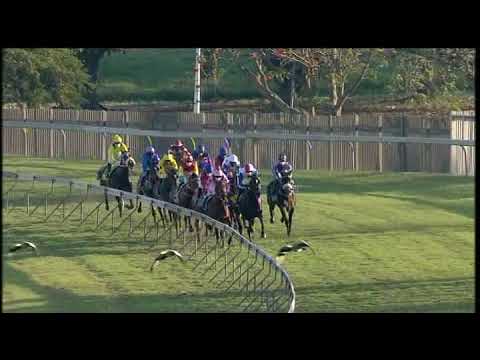 20200823 Hollywoodbets Greyville express clip Race 9 won by CAPTAIN FONTANE