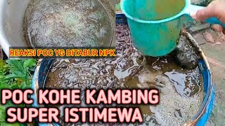 Download lagu MEMBUAT PUPUK ORGANIK DARI KOHE KAMBING SUPER ISTIMEWA PETANI  HARUS TAU mp3