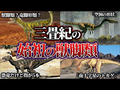 竜脚目について詳しく解説