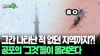 그간 나타난 적 없던 지역까지?!…공포의 '그것'들이 몰려온다 [뉴스쏙] / 연합뉴스TV(YonhapnewsTV)