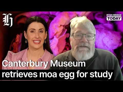 Thumbnail for Canterbury Museum retrieves moa egg from the US for study | Ryan Bridge TODAY