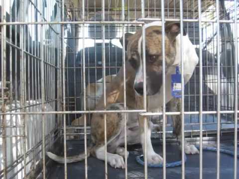 Bueno and Rikete safe