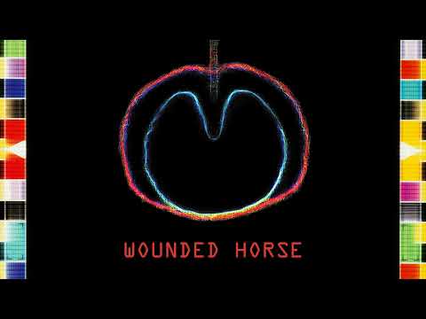 Wounded Horse cover
