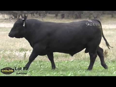 GRANITE RIDGE QUASIMODO Q249