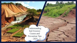 Understanding Soil Erosion: Causes and Prevention Tips