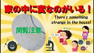洗面所に何かがいる!身近な所は微生物だらけ There's something in the washroom. Familiar areas are full of microorganisms.