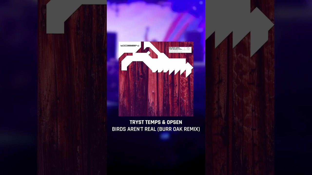 Tryst Temps & Opsen – Birds Aren't Real (Burr Oak Remix)