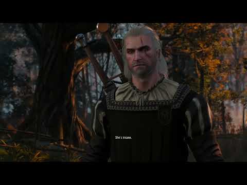 Polymorphism Witcher