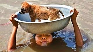 5 HISTORIAS QUE TE DEVOLVERAN LA FE EN LA HUMANIDAD