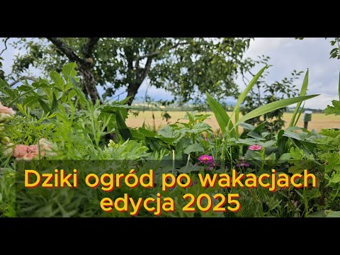 Dziki ogród po wakacjach - edycja 2025