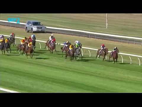 Massive effort by Karalino for fourth in the NZ Oaks