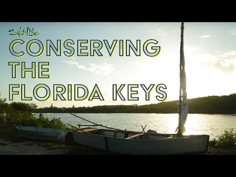 Conserving the Florida Keys | Salt Life