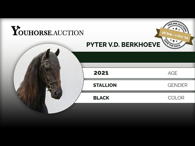 Pyter vd Berkhoeve