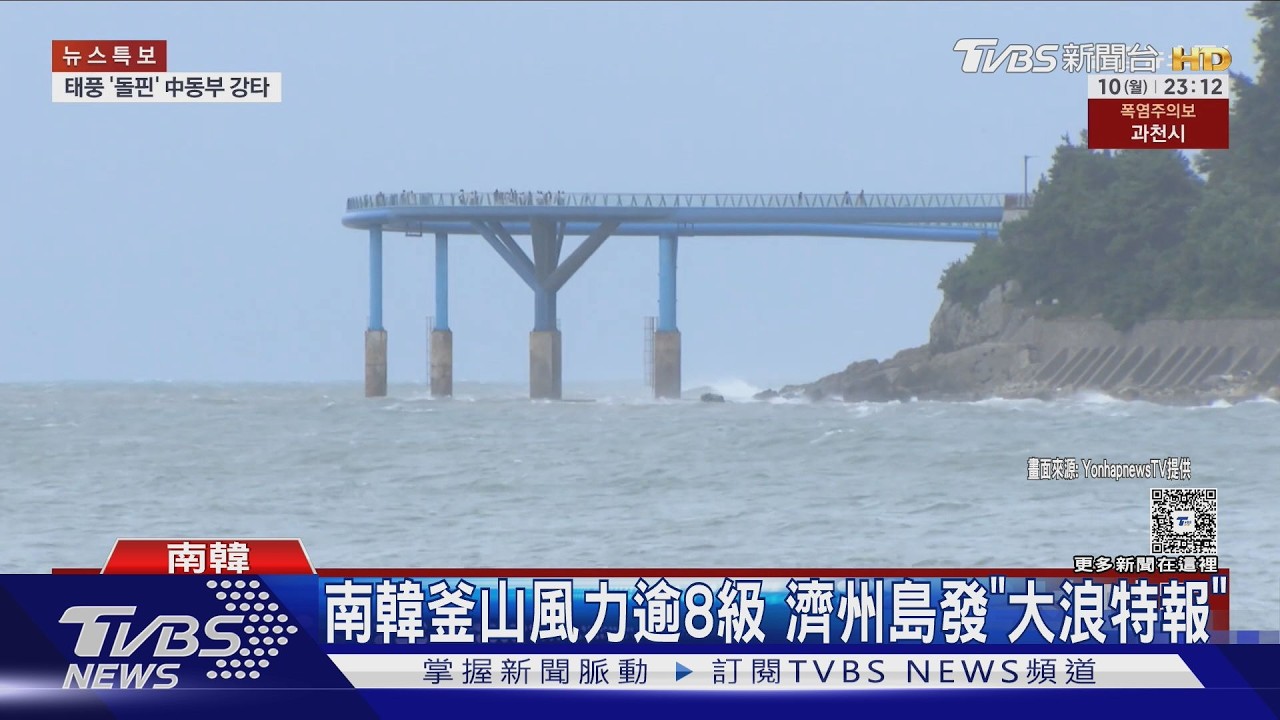 影音/觀景窗變水族箱! 白海豚不只淹掉上海 南韓濟州也發大浪特報