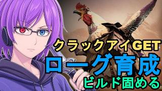 【ディアブロ4】クラックアイを使ってローグで遊ぶ！今夜は最適化して火力を伸ばす【狂撃kakeru】