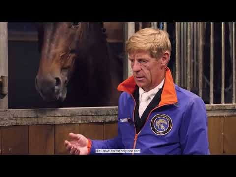 Marcus Ehning -  My Equipment